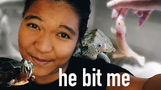 Feeding all my pets! (my axolotl bit me)