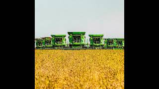 Global conflicts, extreme weather: How secure is China's food supply