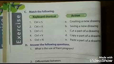 Class 3rd | Chapter 5: Working With MS-PAINT (Part 5)