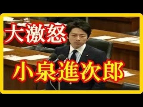 【上念司無双・論破！】民主党・反日？知ったかぶり？売国？谷岡郁子議員の靖国参拝批判をデータでバッサリ 国会中継 蓮舫VS小泉進次郎 民主党の矛盾を論破する小泉議員！年金問題で蓮舫議