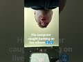 #keyboard #worlds #computer #ai #football