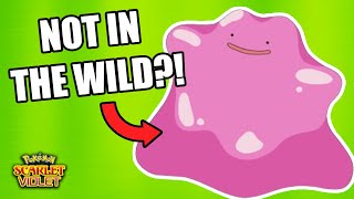 Where to Catch Ditto in Pokémon Scarlet & Violet
