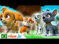 Patrulha Canina | Os filhotes salvam o dia! Coletânea de 20 minutos | Nick Jr. em Português