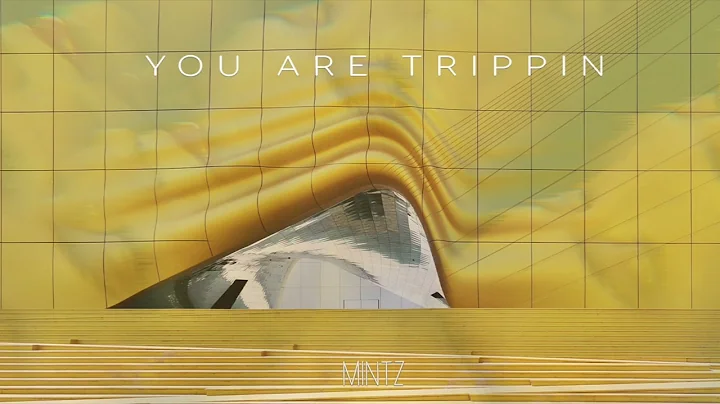MINTZ - You Are Trippin (Original Mix)
