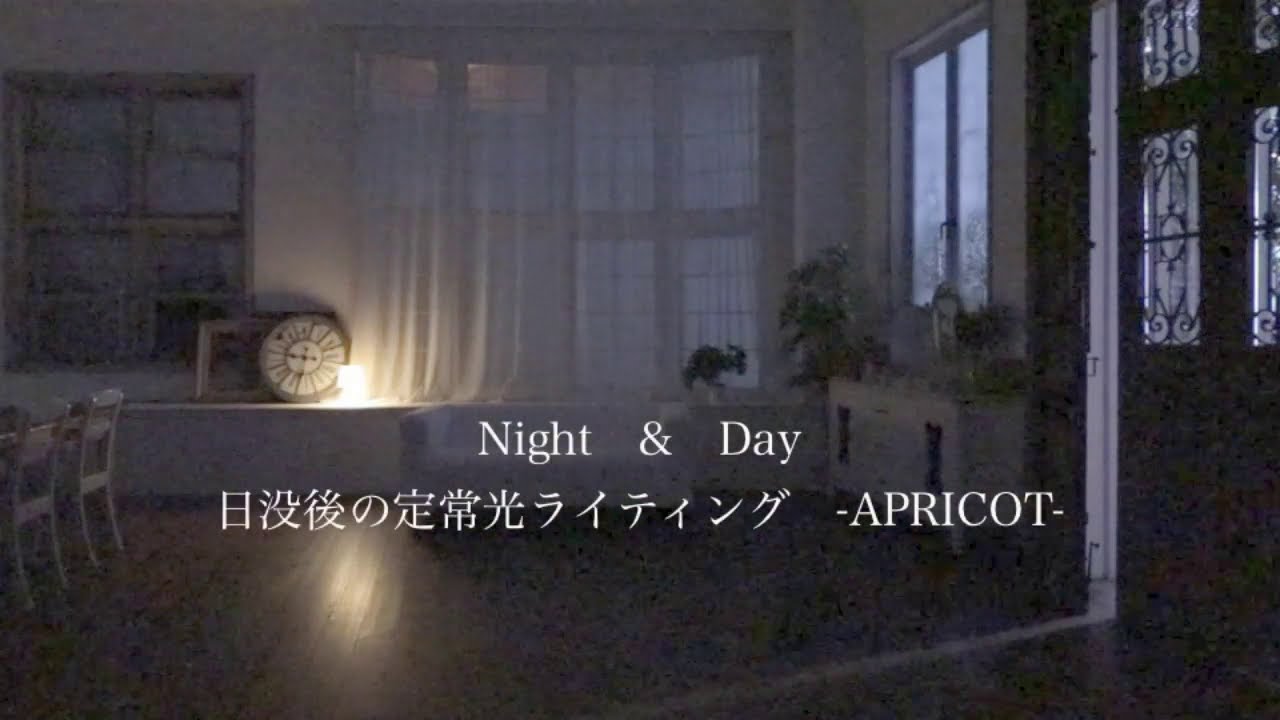 APRICOT/blooming 日没後の定常光ライティング