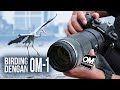 Ini baru kamera tepat buat birding om system om1 indonesia