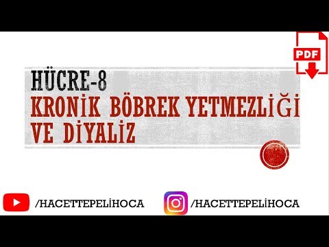 26 - HÜCRE-8 (KRONİK BÖBREK YETMEZLİĞİ ve DİYALİZ) | TYT | 9.Sınıf | #hacettepelihoca