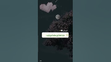 {قَالَ لَا تَخَافَا ۖ إِنَّنِي مَعَكُمَا أَسْمَعُ وَأَرَىٰ } سورة طه آية ٤٦