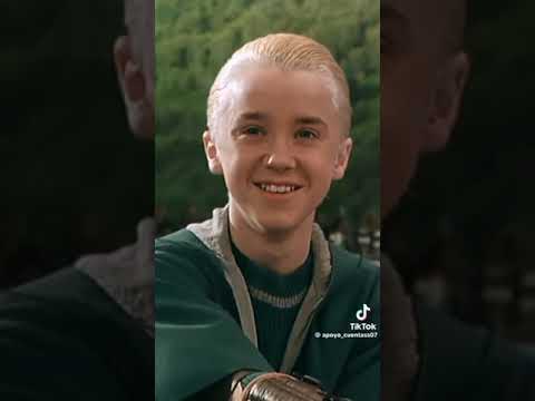 POV: Remembering Y/N Malfoy... (Not mine)