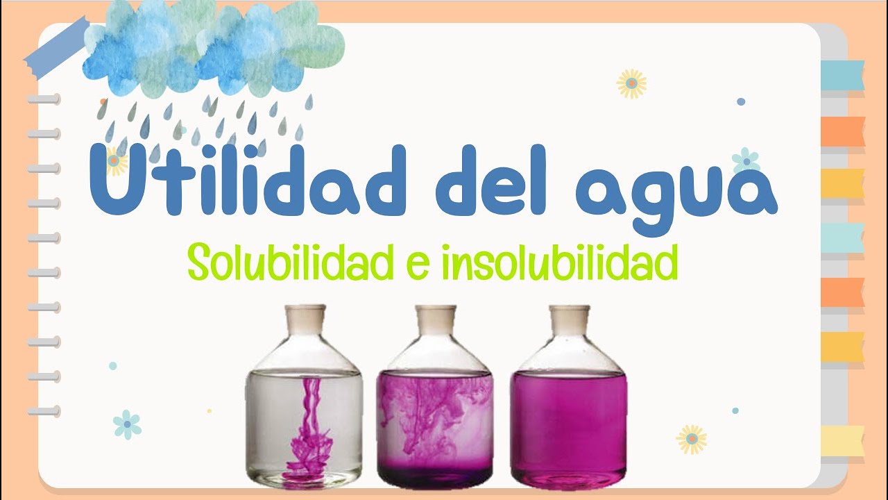 Utilidad del agua | Solubilidad e insolubilidad - YouTube