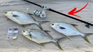 Surf Fishing: POMPANO  [Catch, Clean, & Cook]