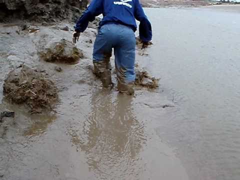 jcb rigger boots