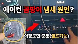 자동차 에어컨 곰팡이 냄새, 장비 없이 셀프로 잡는 확실한 방법