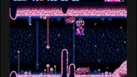 Super Metroid Dachora