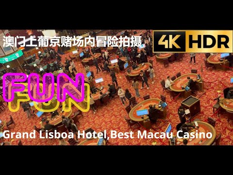 St.Pr.St. Veracruz v. Verdi - Casino Berlin - Check In (Weide 2021, mit Stutfohlen v. Colman)