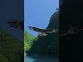 奥大井湖上 寸又峡｜川根本町の秘境