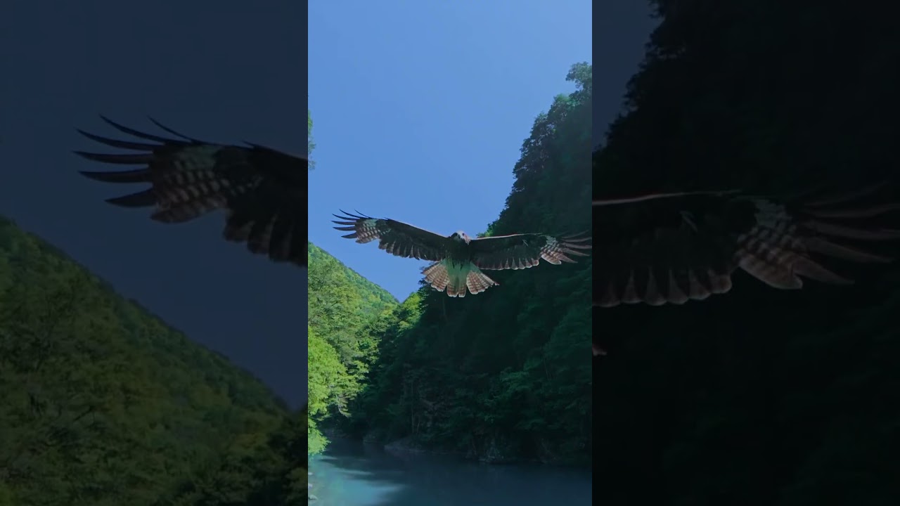 奥大井湖上 寸又峡｜川根本町の秘境