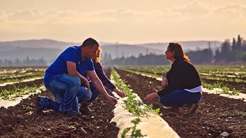 Managing disruption: The importance of supply-chain resilience