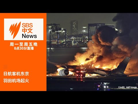 日航客机在东京羽田机场起火 | 总理承诺将提出更多纾困措施【SBS中文新闻直播】