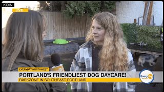 The Barkzone Featured On Everyday Northwest.