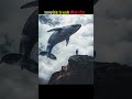 This mistake of animals leads to direct death#trending #shortsfeed #shortvideos #facts #viral