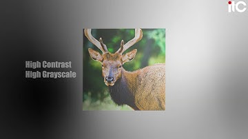 itc K Pro Series LED Video Wall