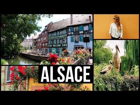 EXPLORING FRANCE: Alsace Region - Strasbourg, Colmar, Riquewihr & more