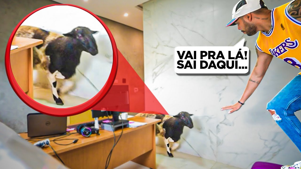 TRANQUEI O THIAGO NO ESCRITÓRIO COM O CARNEIRO DELE