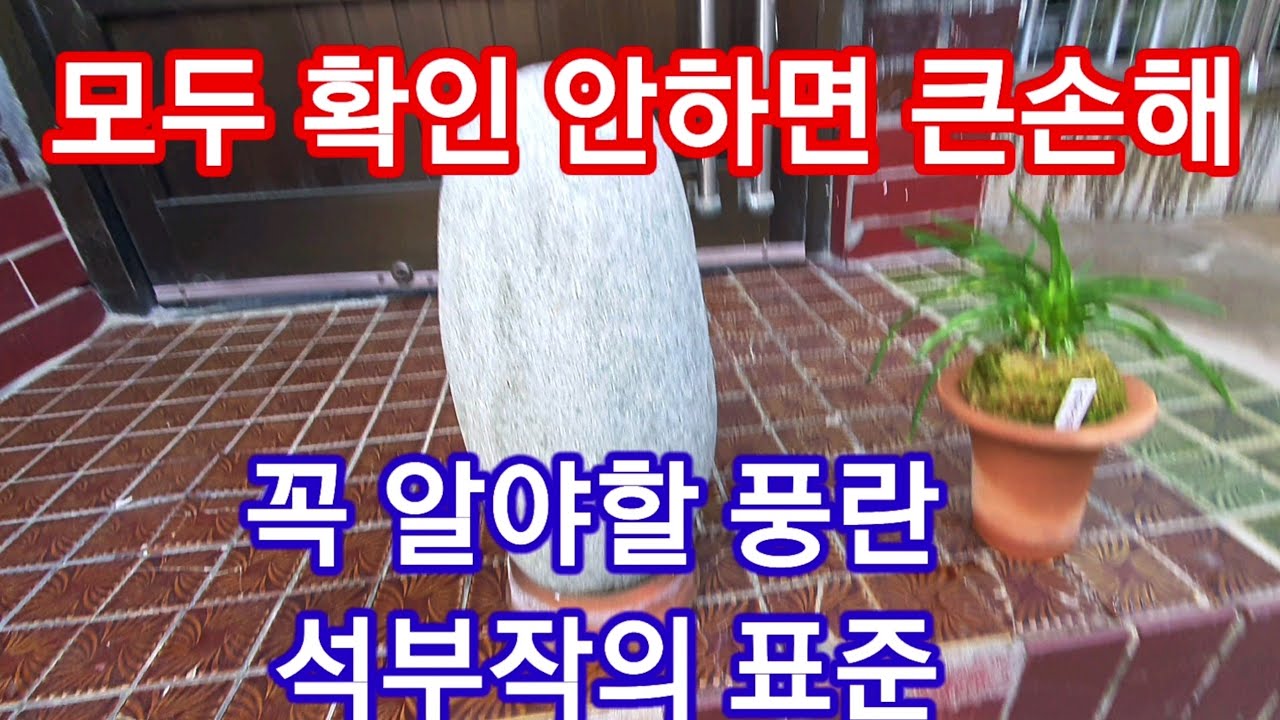 풍란 석부작