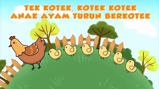 Download Lagu Tek Kotek Kotek |   Anak ayam | Lagu Anak-Anak Indonesia Terpopuler MP3