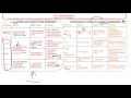 Cytokines by Function