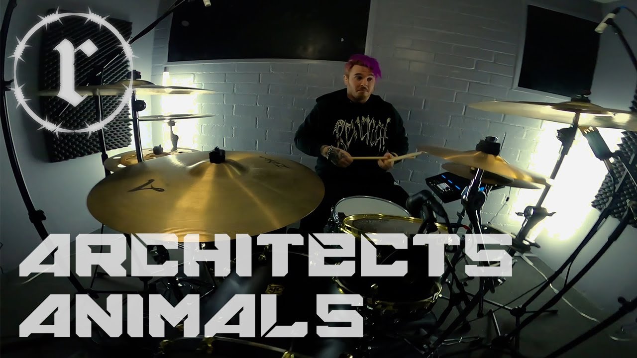 Architects - Animals | Drum Cover by Rob Snow