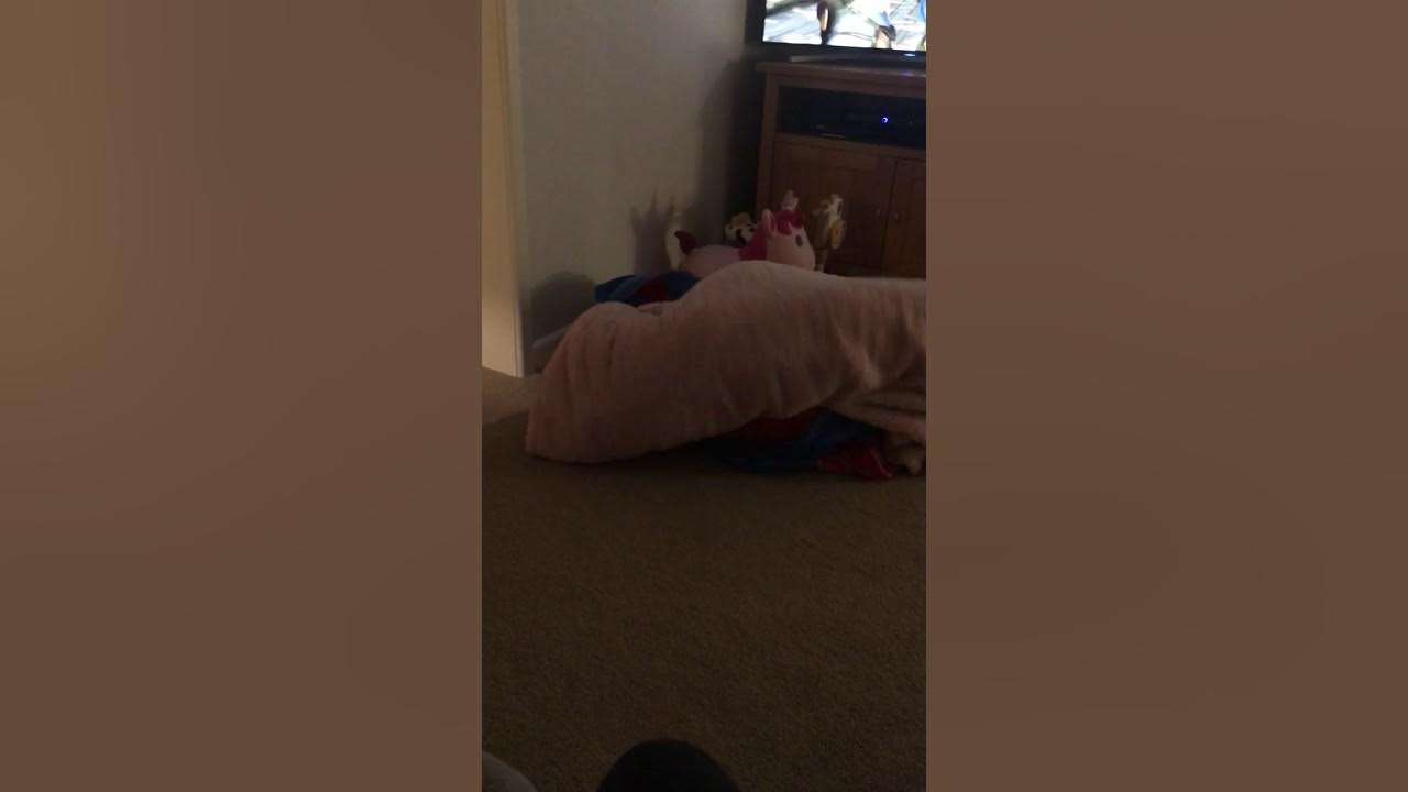 Charlie and Lily blanket jail YouTube