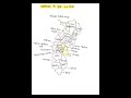 chhattisgarh ke kul 33 Jilen#cggk #competitiveexams #shorts #short #ytshorts #cgpsc #upsc #notes #cg