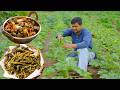 Kurkuri bhindi aur bhindi ki sabji  indian village cooking