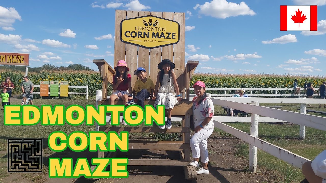 EDMONTON CORN MAZE