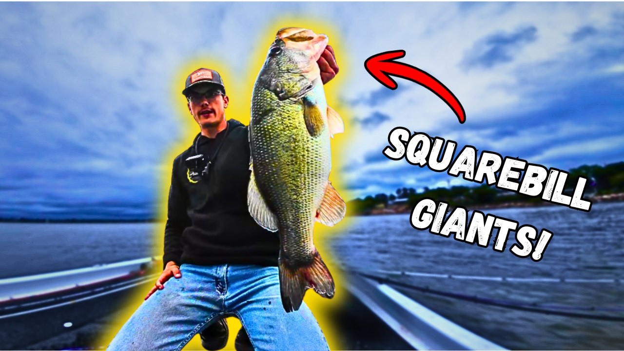 BIG BASS on Crankbaits! (Early Summer Bass Fishing!)