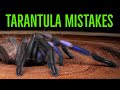MORE TOP 10 MISTAKES Keeping Tarantulas & Spiders!