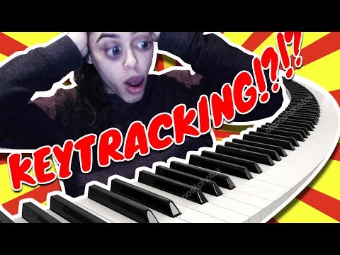 Serum Beginner Tutorial - KEY TRACKING