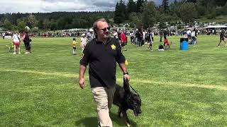Asset Security Northwest | Soccer Event  | K9 Unit | Explosive Detection