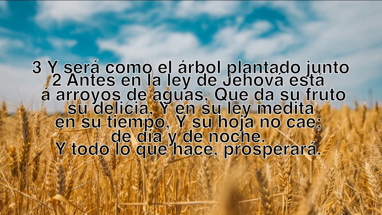 Salmo 1 Biblia Reina Valera 1909 Espa ol YouTube salmo-1-biblia-reina-valera-1909-espa-ol-youtube