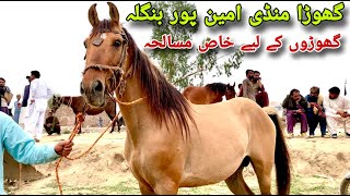 Horse Mandi Amin Pur Bangla