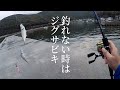 ジグサビキがむっちゃ楽しかった【ショアジギング】