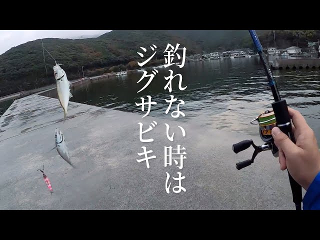 アジング ジグサビキ クロマニアン 波止を駆ける