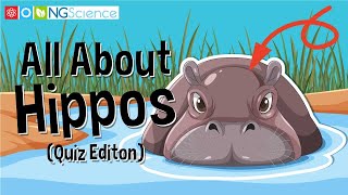 All About Hippos (Quiz Editon)