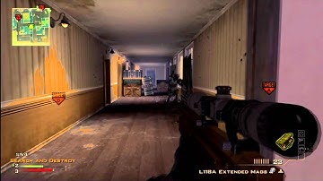 Mw3: Gold L118A Quad Feed