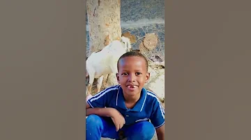 Mafahmin Sharma Boy Ft Maslax Mideeye Shorts 