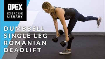 Dumbbell Single Leg Romanian Deadlift - OPEX Exercise Library