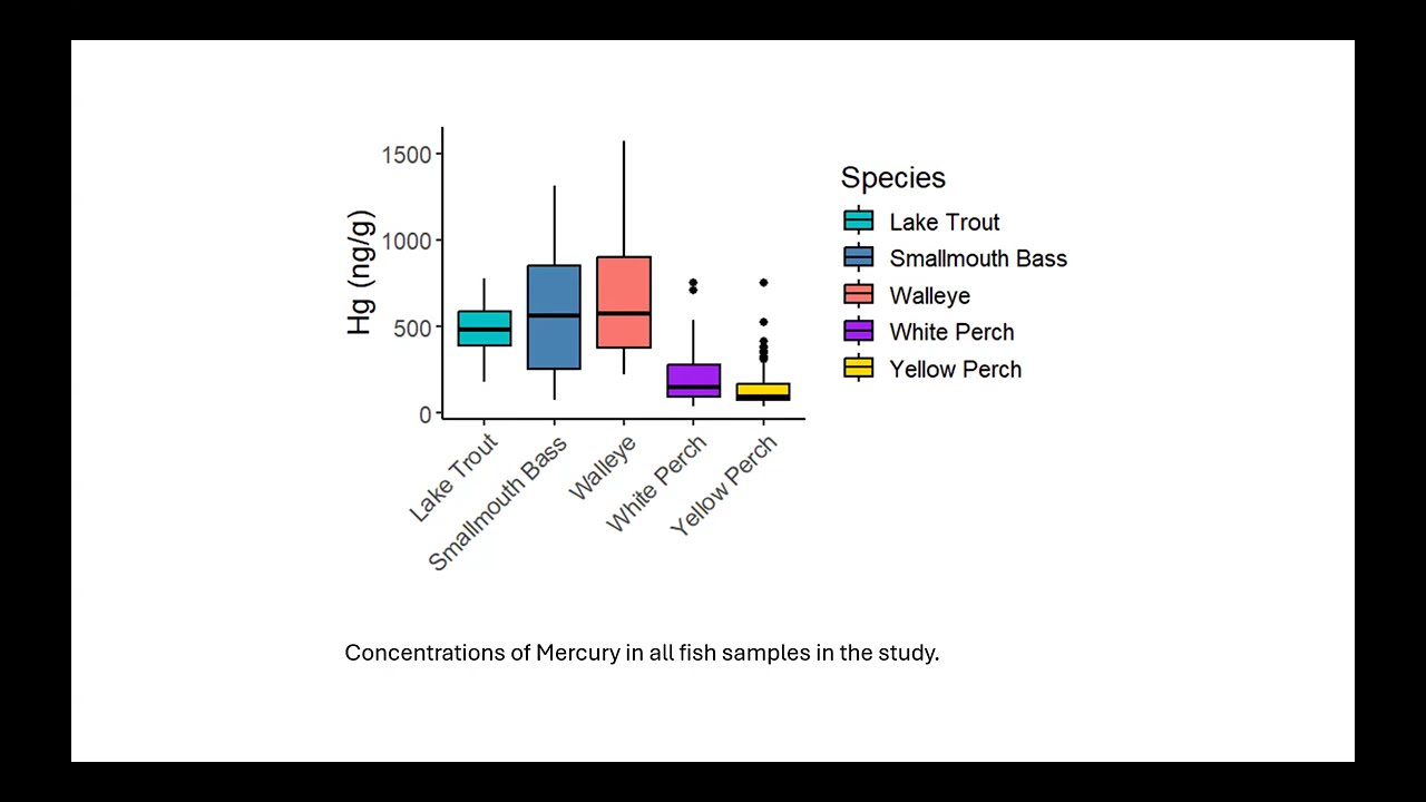 Research Webinar: Mercury Bioaccumulation in the Deep and Shallow Basins of Lake Champlain