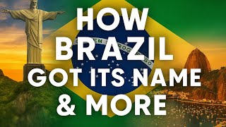 How Brazil Got Its Name &More! 🇧🇷